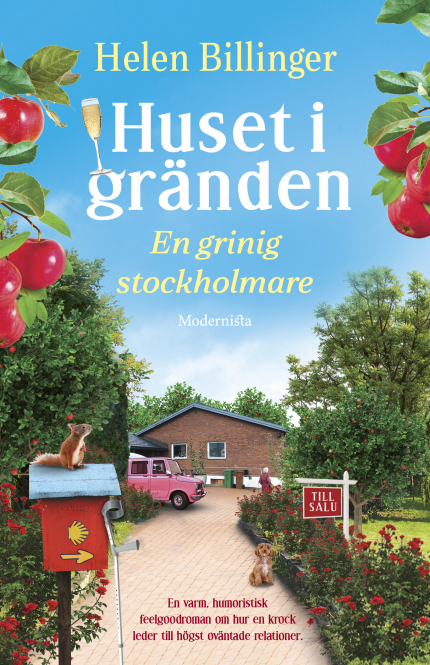 Huset i gränden: En grinig stockholmare