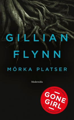 Gillian Flynn Mörka platser