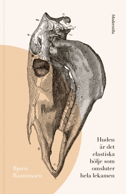 Huden är det elastiska hölje som omsluter hela lekamen